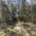 Feriehus 2534-nexo-strandmolleskoven-3